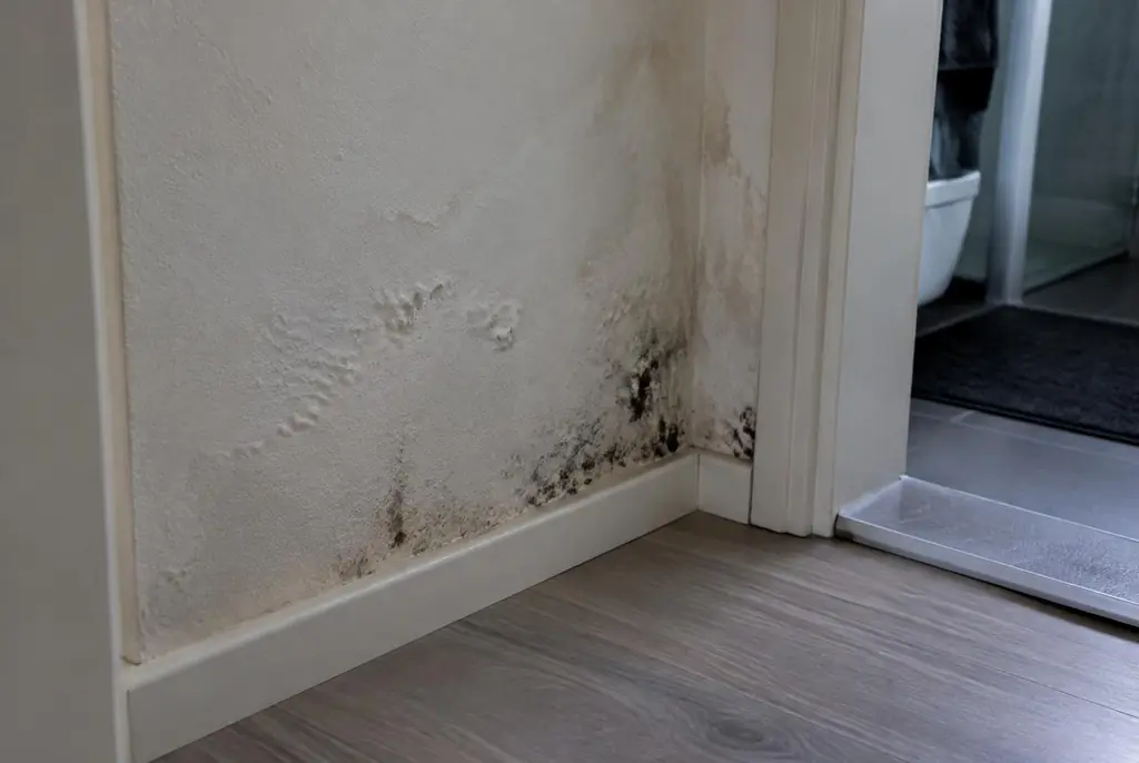 Lekdetectie Uden – vochtplek met schimmel op een muur
